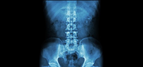 Anatomía de la columna dorsal, lumbar y cervical