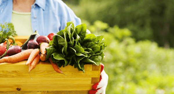 Organic Food and Your Health